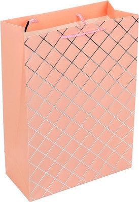 

Пакет подарочный, Геометрия PTXL-12-G3