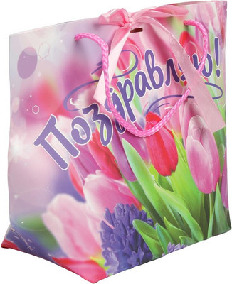 

Пакет подарочный, Цветы PBXL-114650-FLW