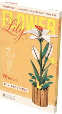 

Конструктор, Лилия