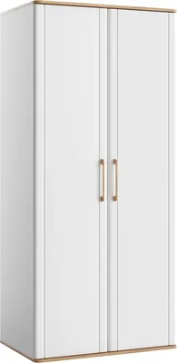 

Шкаф, Карпин INV01HP-2D-1002/621/2204(02)