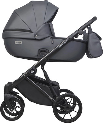

Детская универсальная коляска, Montana X Ecco 2 в 1 Basic 24