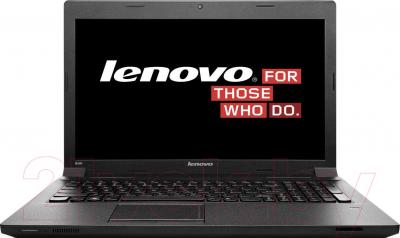 Ноутбук Lenovo B590 (59382014) - общий вид