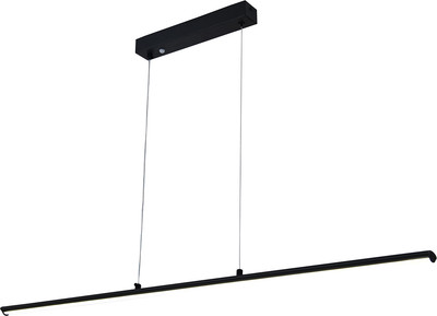 

Потолочный светильник, 100001/1PL / ES0000014L