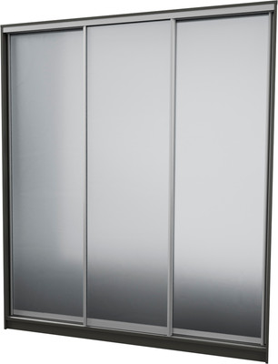 

Шкаф-купе, 203450 KKX Elgon РГ-08.04