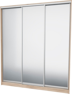 

Шкаф-купе, 203450 EEX Elgon РГ-08.04