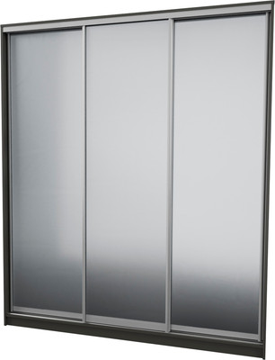 

Шкаф-купе, 203 KKX Elgon РГ-02.04