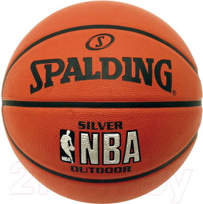 Баскетбольный мяч Spalding NBA Silver 83014Z (размер 5)
