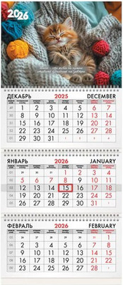 

Календарь настенный, 2026г квартальный / 116805
