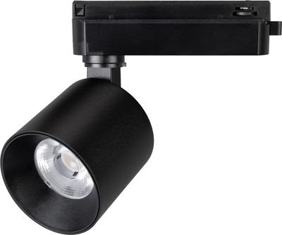 

Трековый светильник, LGD-DYKE-2TR-R75-16W Day4000 BK 50 deg / 052267