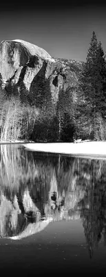 

Фотообои листовые, Природа 146