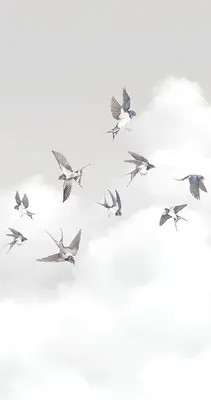 

Фотообои листовые, Air 10