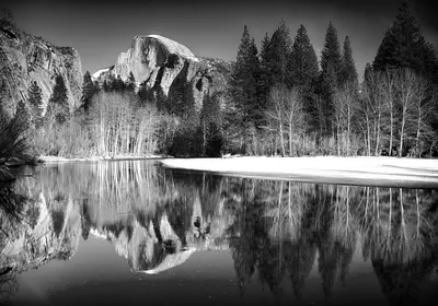 

Фотообои листовые, Природа 146