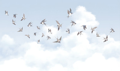 

Фотообои листовые, Air 11