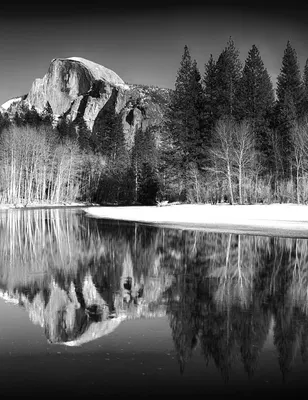 

Фотообои листовые, Природа 146