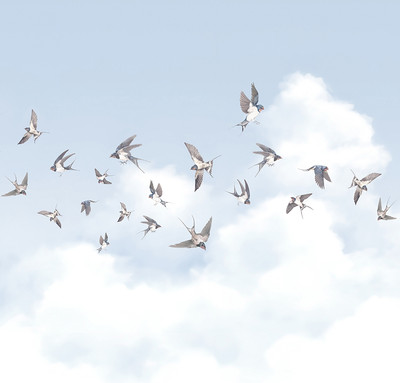 

Фотообои листовые, Air 11