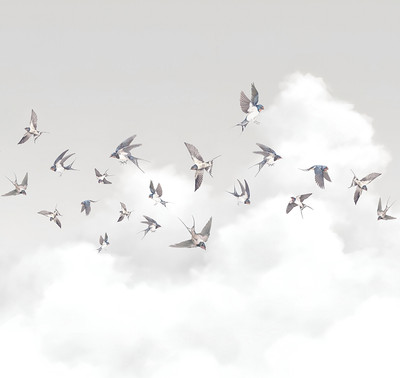 

Фотообои листовые, Air 10