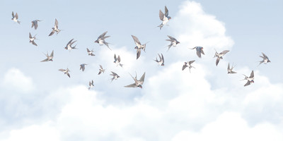 

Фотообои листовые, Air 11