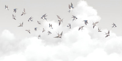 

Фотообои листовые, Air 10