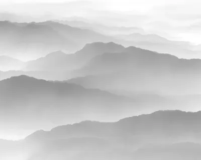 

Фотообои листовые, Природа 144