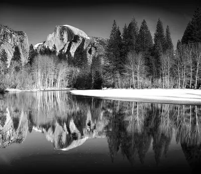 

Фотообои листовые, Природа 146