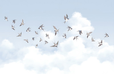 

Фотообои листовые, Air 11