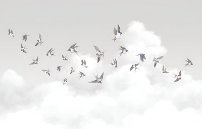 

Фотообои листовые, Air 10