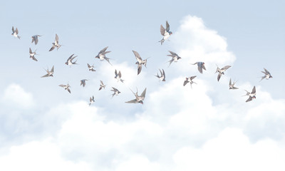 

Фотообои листовые, Air 11