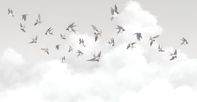 

Фотообои листовые, Air 10