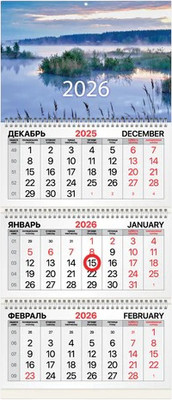 

Календарь настенный, 2026г квартальный / 116909