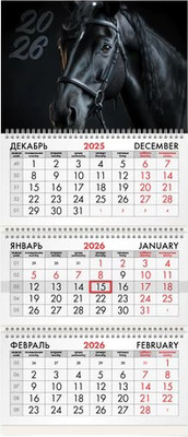 

Календарь настенный, 2026г квартальный / 116790