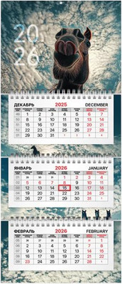 

Календарь настенный, 2026г квартальный / 116836