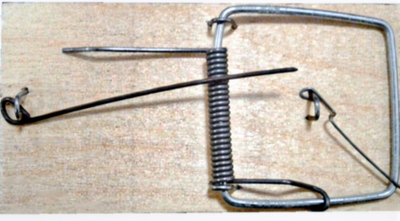 

Крысоловка, 070606