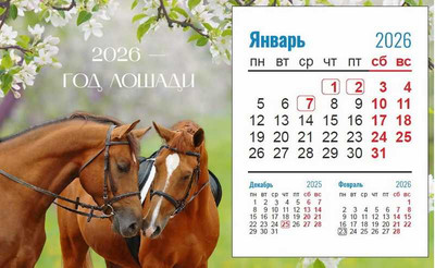 

Календарь настольный, Пара лошадей. 2026 год / 23С671
