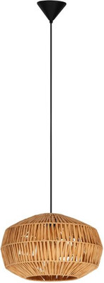 

Потолочный светильник, Sheldon 44143