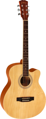 

Акустическая гитара, E4010 N