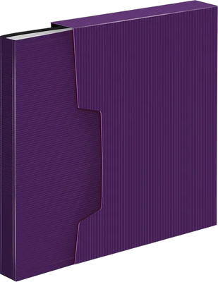 

Папка для бумаг, DeLuxe DLVBOX80BBERRY