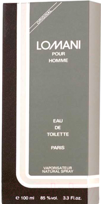 Туалетная вода Lomani Pour Homme (100мл)