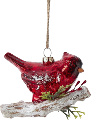 

Елочная игрушка, Kurt Christmas 2025 Красный кардинал / T3674