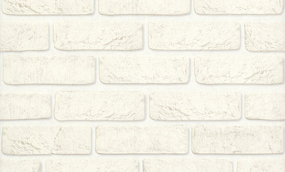 

Виниловые обои, 10108-11