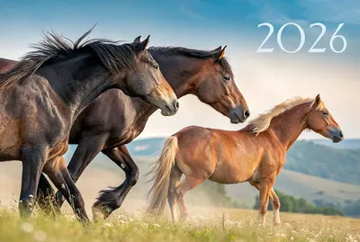 

Календарь настенный, Символ года 2. 2026 год / ККТ2602