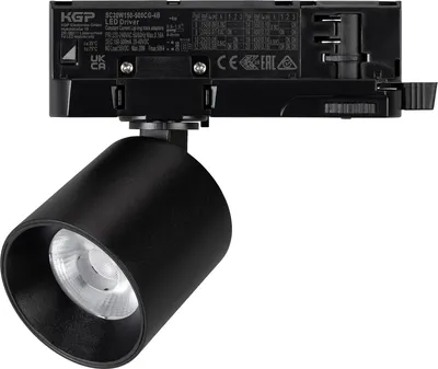 

Трековый светильник, LGD-DYKE-4TR-R60-8W Day4000 / 052274