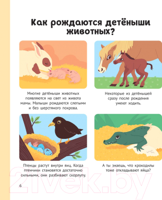 Энциклопедия Эксмо Энциклопедия животных для малышей