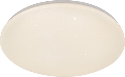 

Потолочный светильник, 10216/SG LED APP