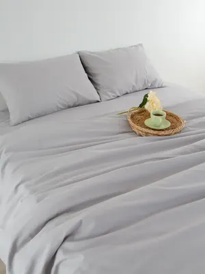 

Комплект постельного белья, 1.5сп 50х70 41242/0 / 14-4203