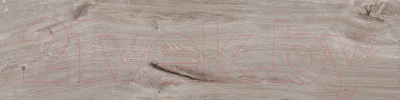 Плитка Zeus Ceramica Gres Briccole Wood Grey ZXXBL8R (225x900)