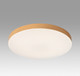 Потолочный светильник Sonex Gamma 7761/24L -