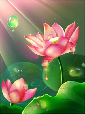 

Набор алмазной вышивки, Водяная лилия / ОО117032