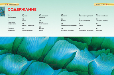

Энциклопедия Росмэн, Микромир
