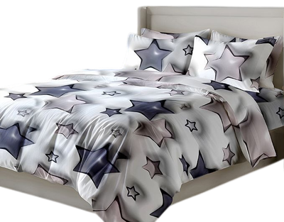 

Комплект постельного белья, 5D № SHZY-0281 Мягкие звезды 2сп с европростыней