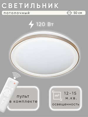 

Потолочный светильник, HY61516 2x60Вт D500